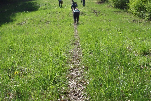 Wandelingen maken