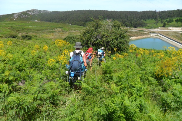 Onder professionele begeleiding meer daagse wandeltochten maken
