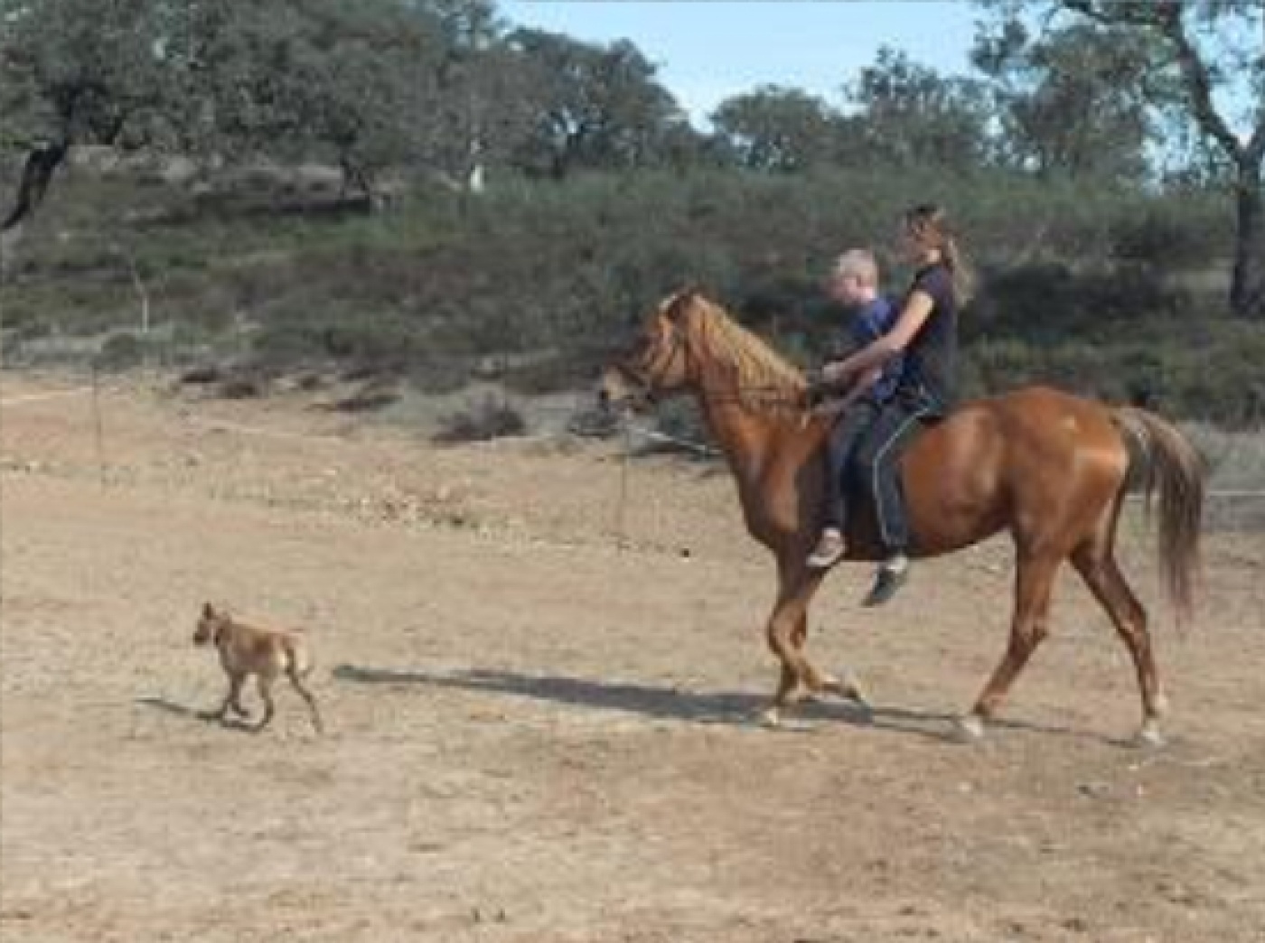 TELL-US, paardrijden