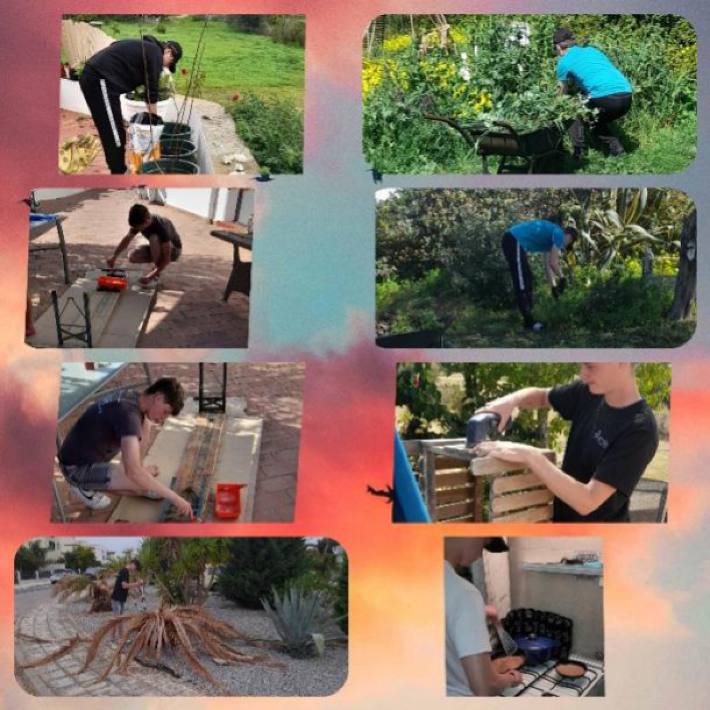 TELL-US Gastgezin werkend