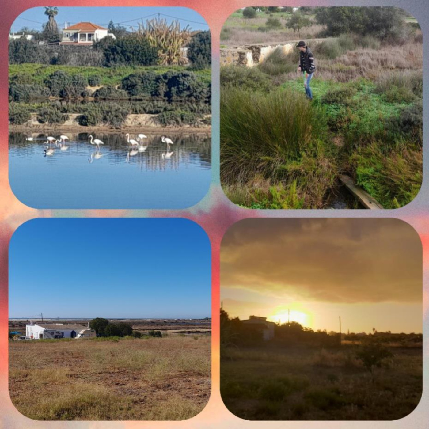 Gastgezin Portugal sfeerbeelden